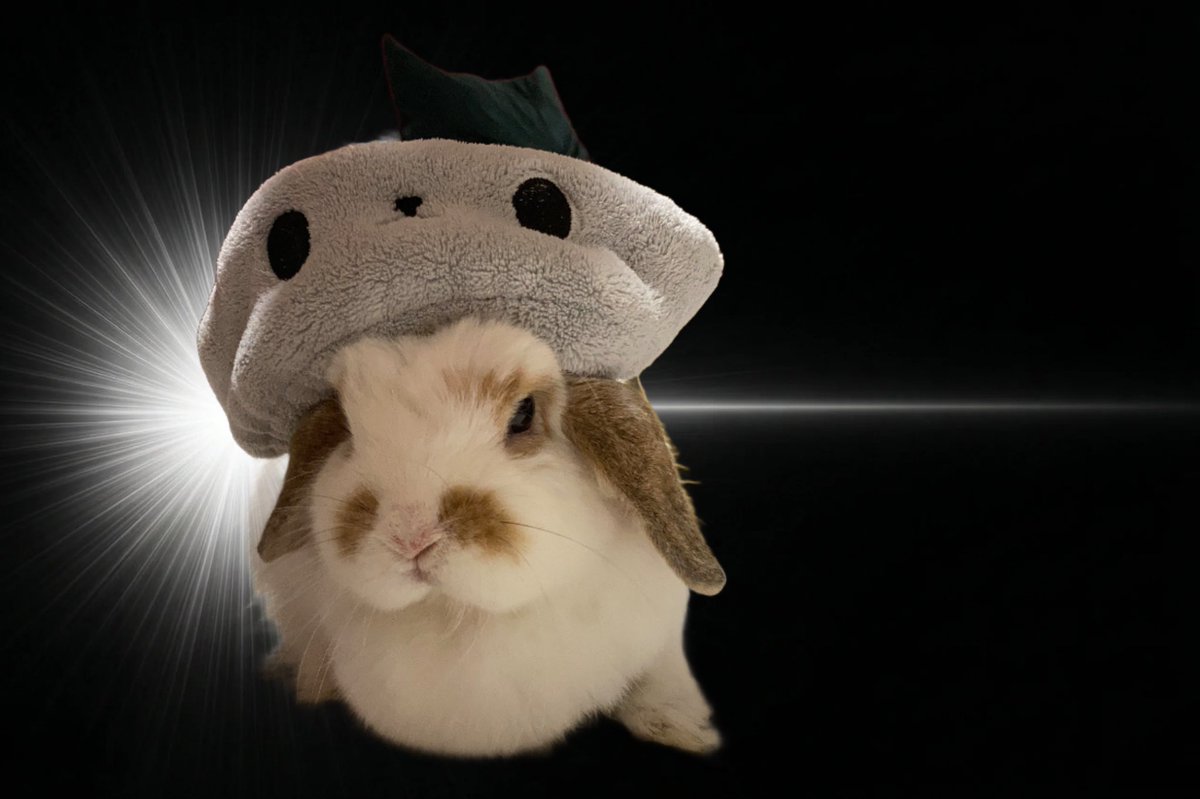 めっちゃいいじゃん