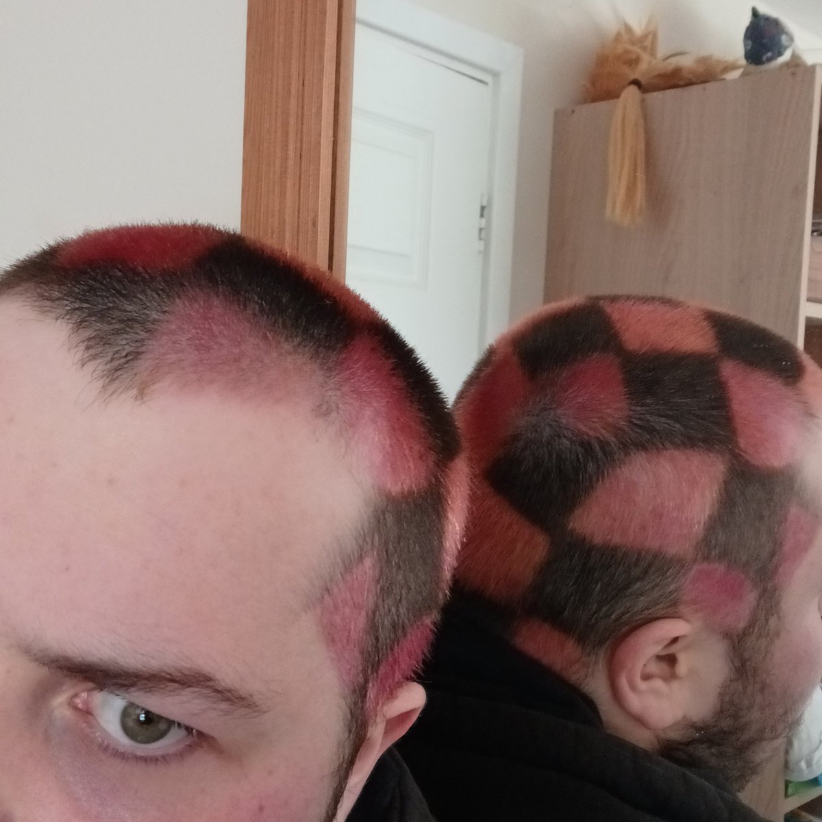 instain in the membrane #hl2vrai tweet media