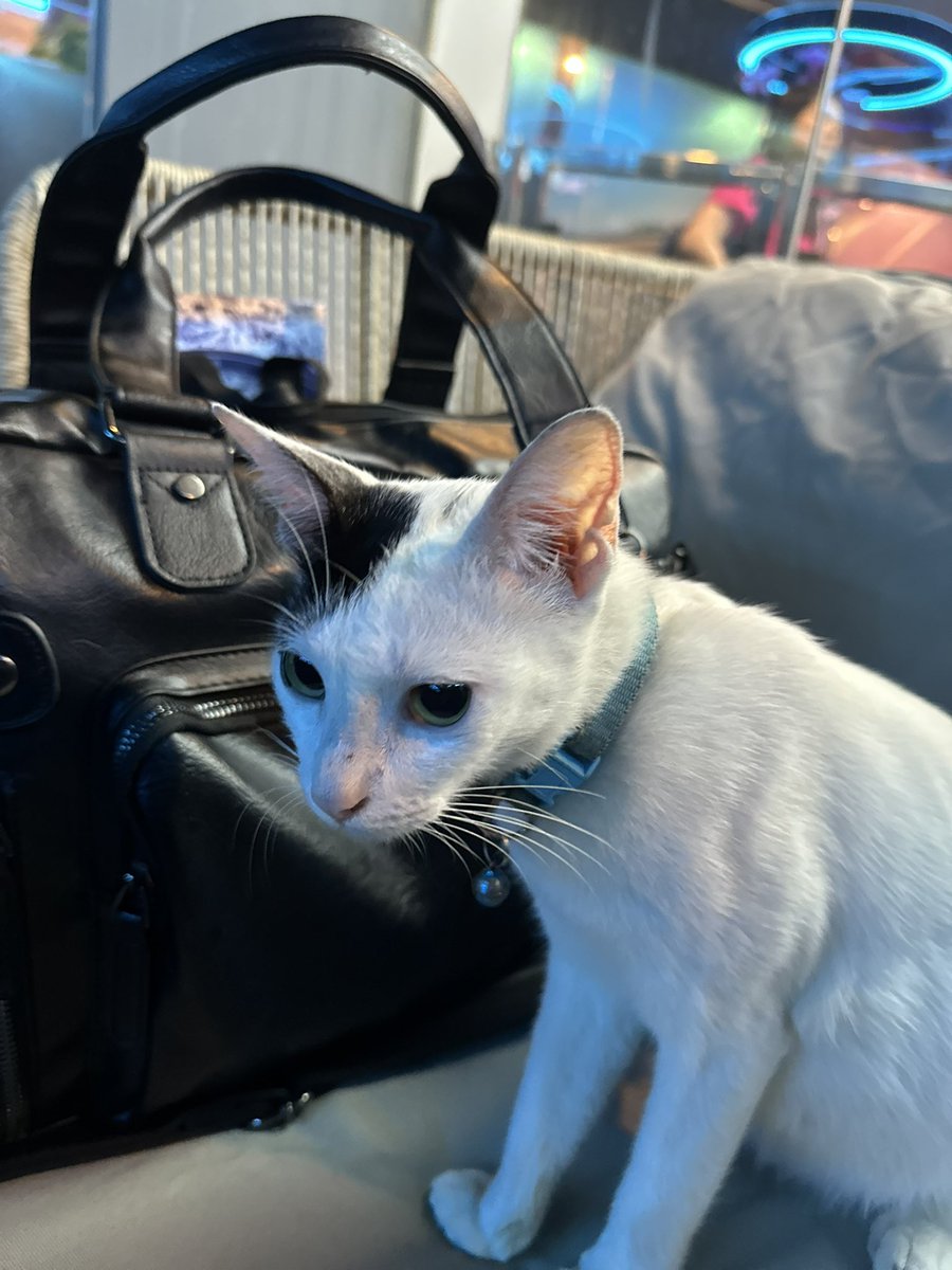 Sontheship tweet media