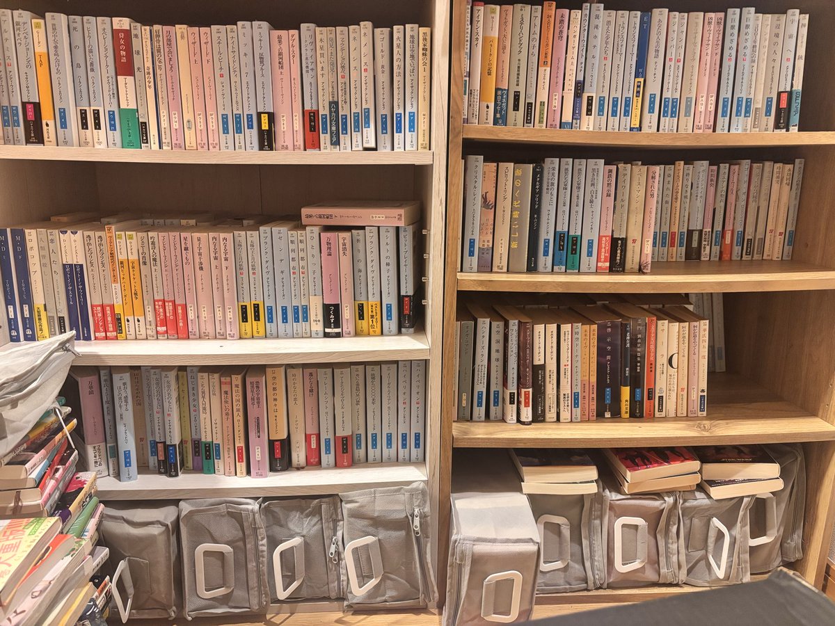 佐久ユウ tweet media