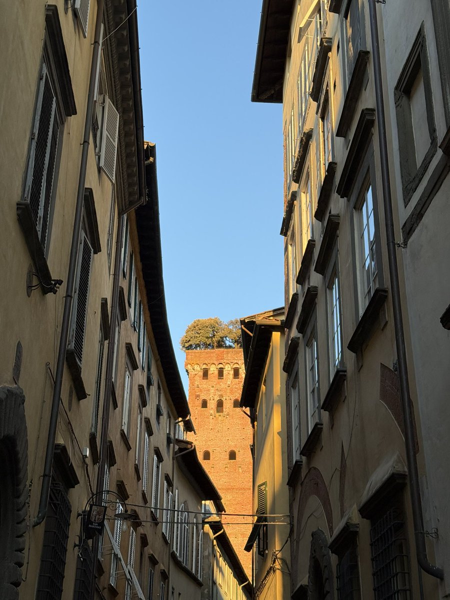 leti is celebrating🎉 tweet media