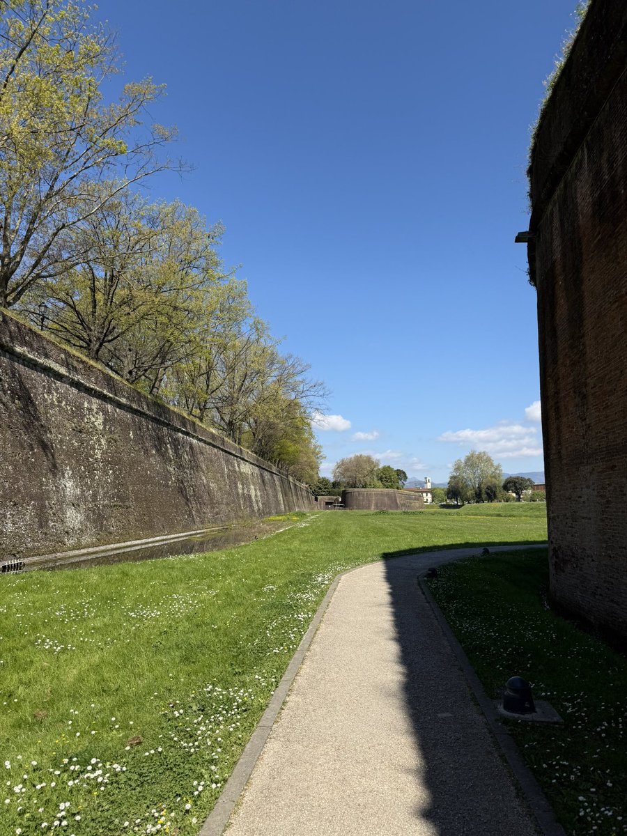 leti is celebrating🎉 tweet media