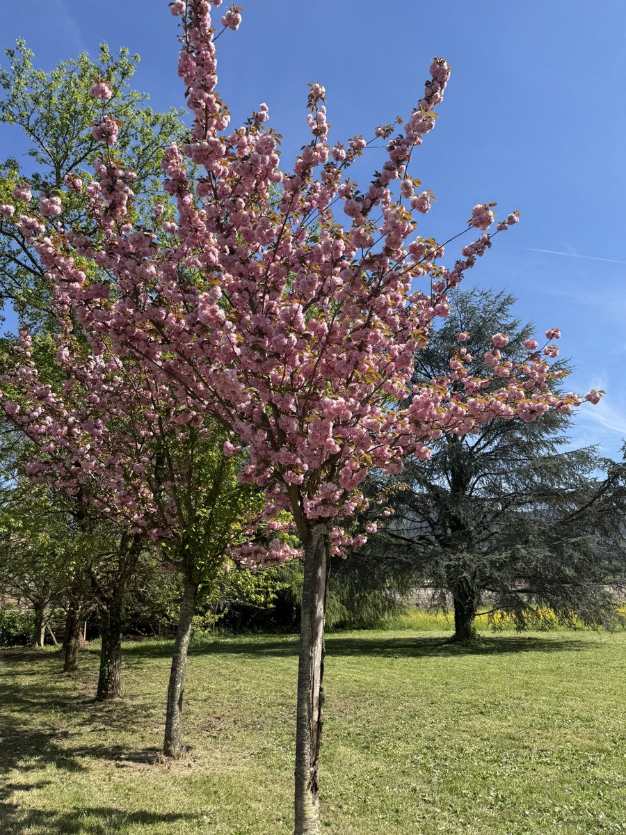 leti is celebrating🎉 tweet media