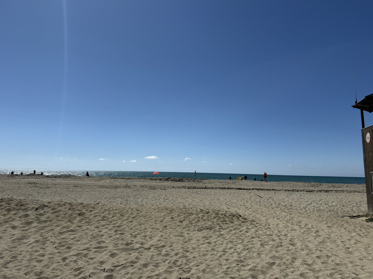 leti is celebrating🎉 tweet media