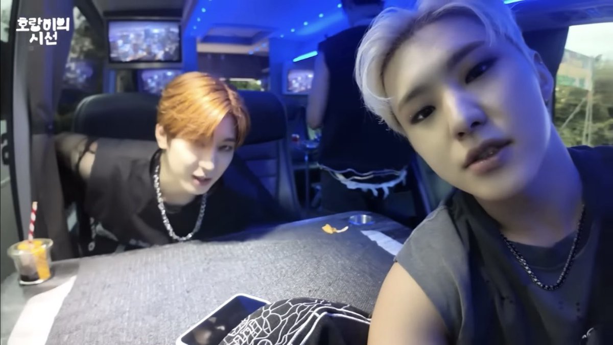 럽🐱🐯 tweet media