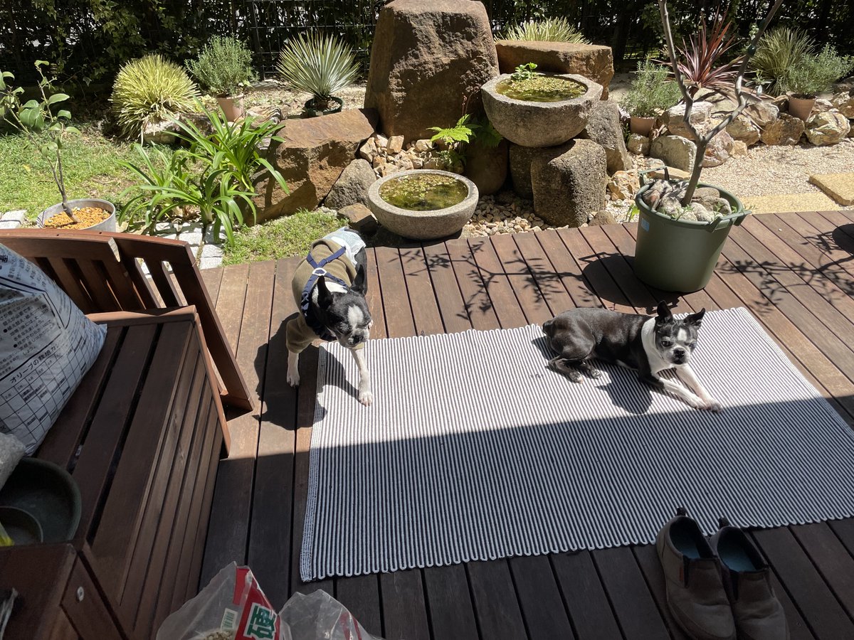 Shigetsu Takayama tweet media