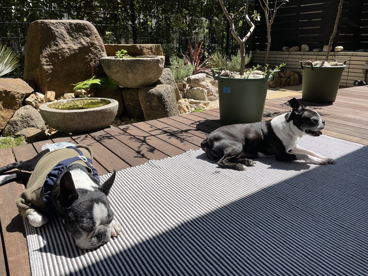 Shigetsu Takayama tweet media