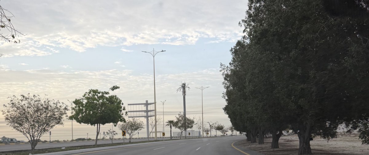 كائن حي tweet media