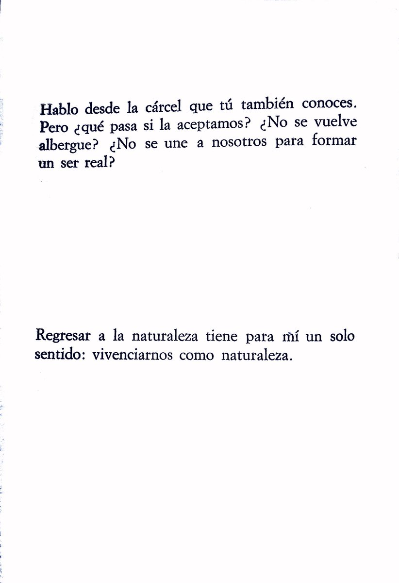 Team Poetero tweet media