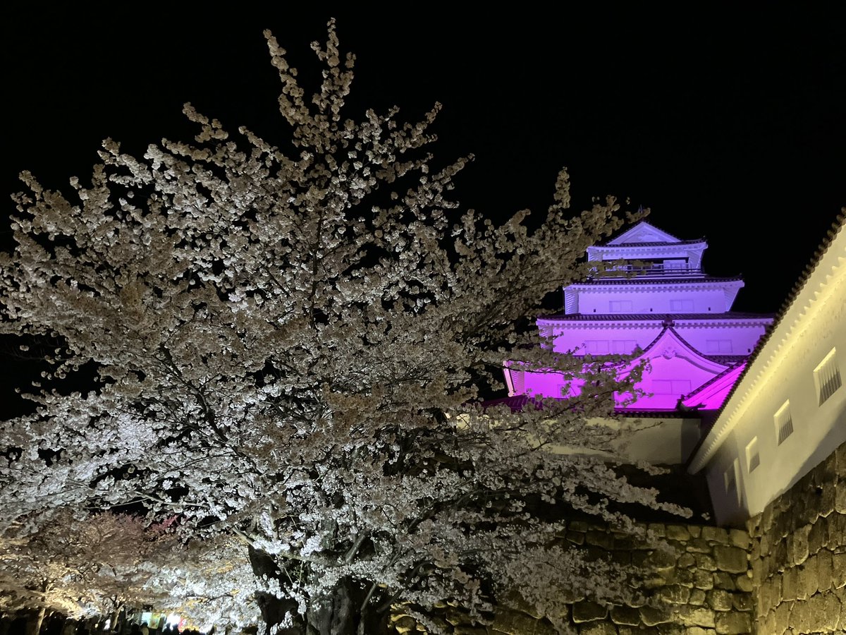 満開🌸
ところでこれ会津村は……桜持ちますかね…
