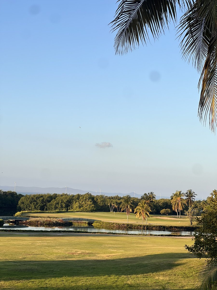 MeliaLasAmerica's tweet photo. 🌅 Vistas panorámicas que combinan mar, cielo y naturaleza en perfecta armonía.
✨ El sonido del viento, el verde impecable y una pelota que espera tu mejor golpe.
#MeliaLasAmericas te espera 
#GolfMelia https://t.co/jUbwPNRXUy