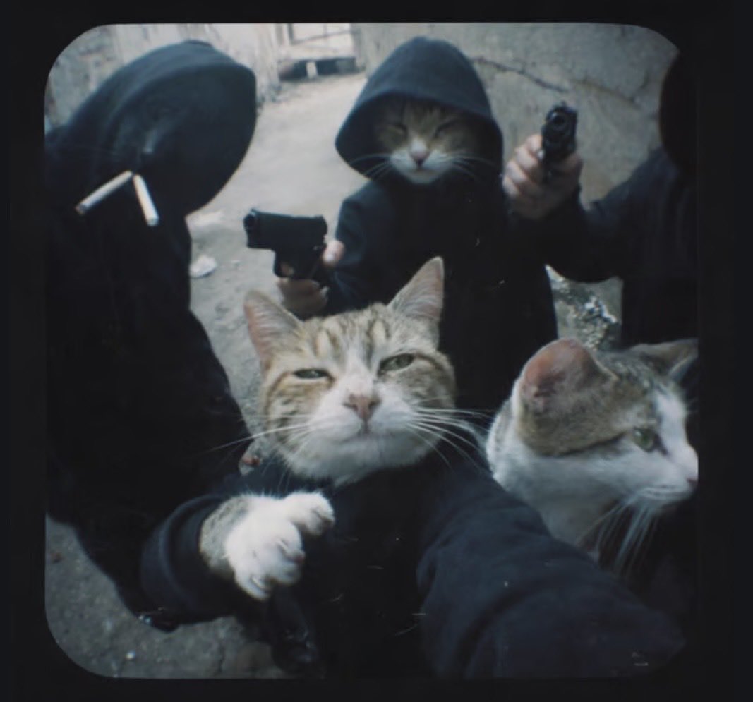 MillennialFalcon tweet media