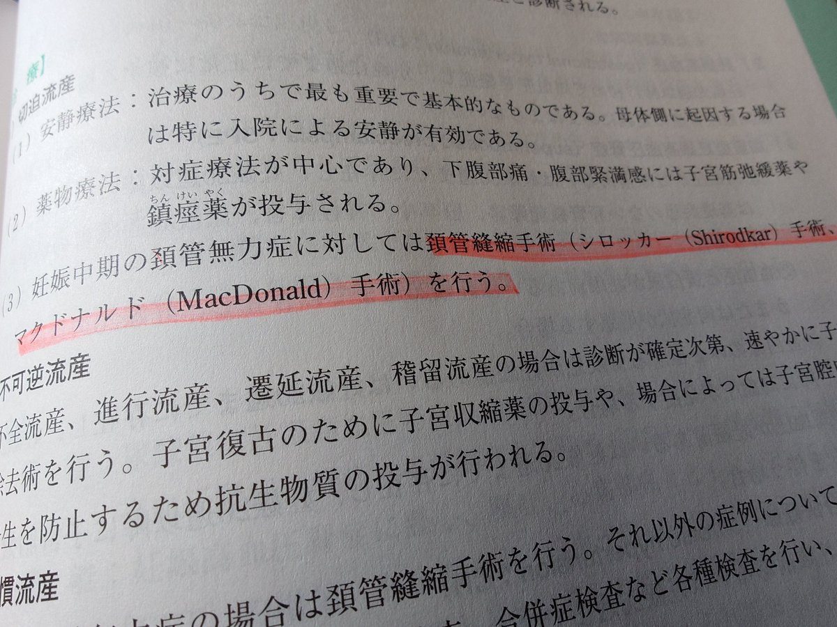 ヨウゾウ tweet media