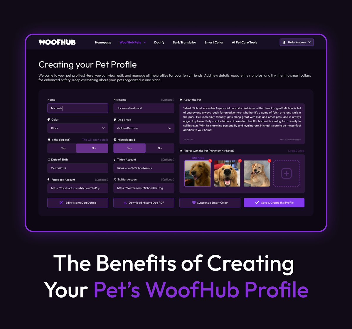 Bert 🧸 🐶 tweet media