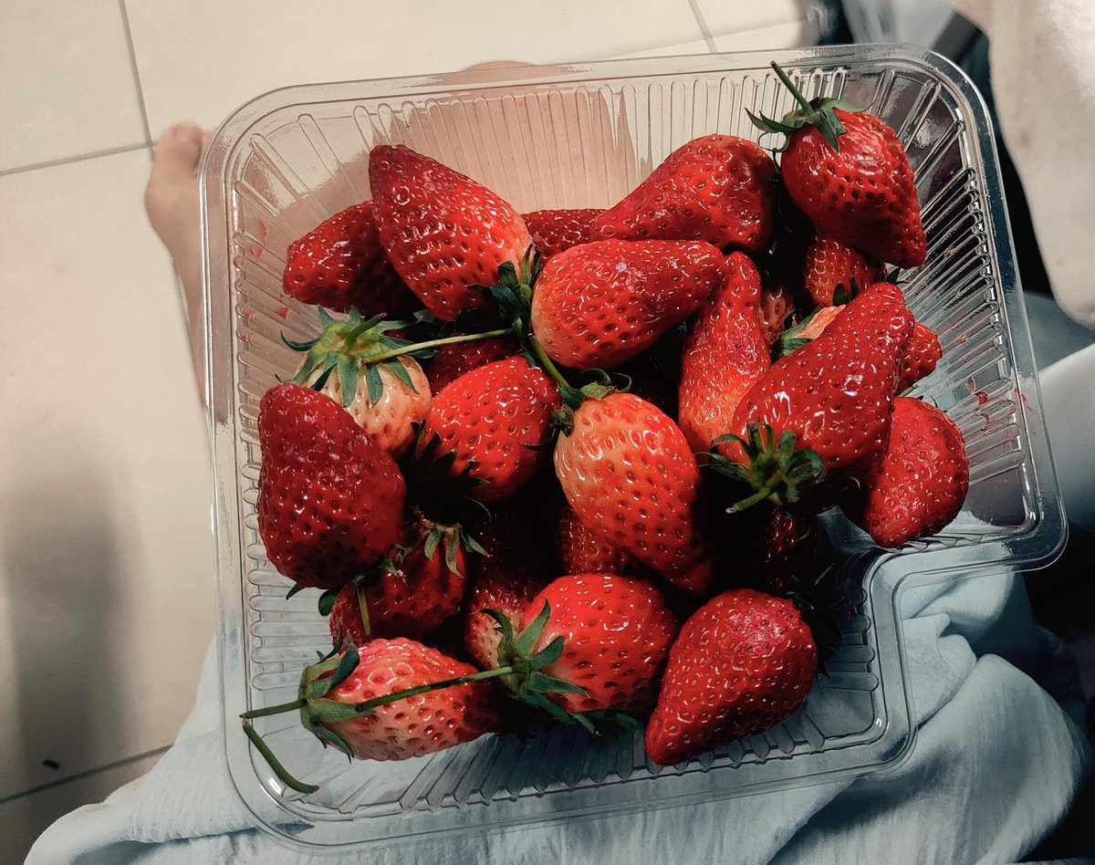 内向蛋黄派 tweet media