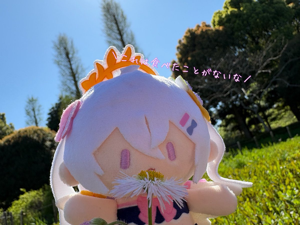 ほんきょー tweet media