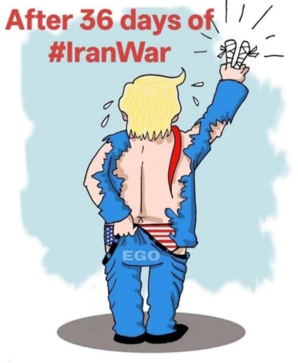 Faizan Haider Khan tweet media