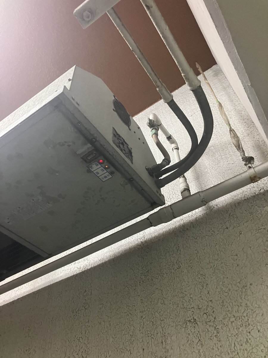 もんちゃん tweet media