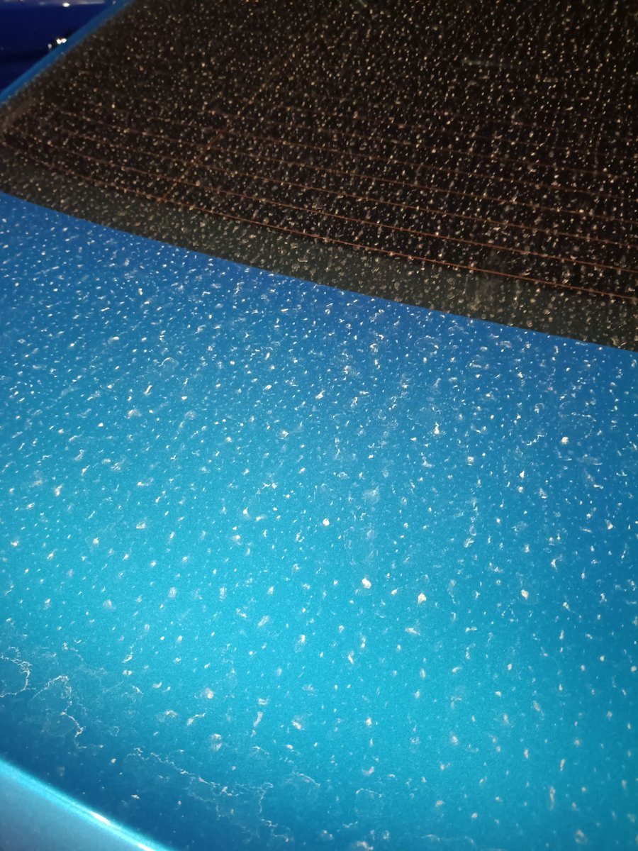 らまめ🤍🤍❤️ tweet media