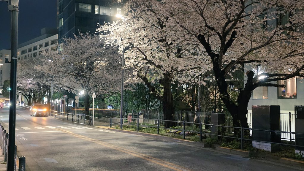 주로먹는사람 tweet media