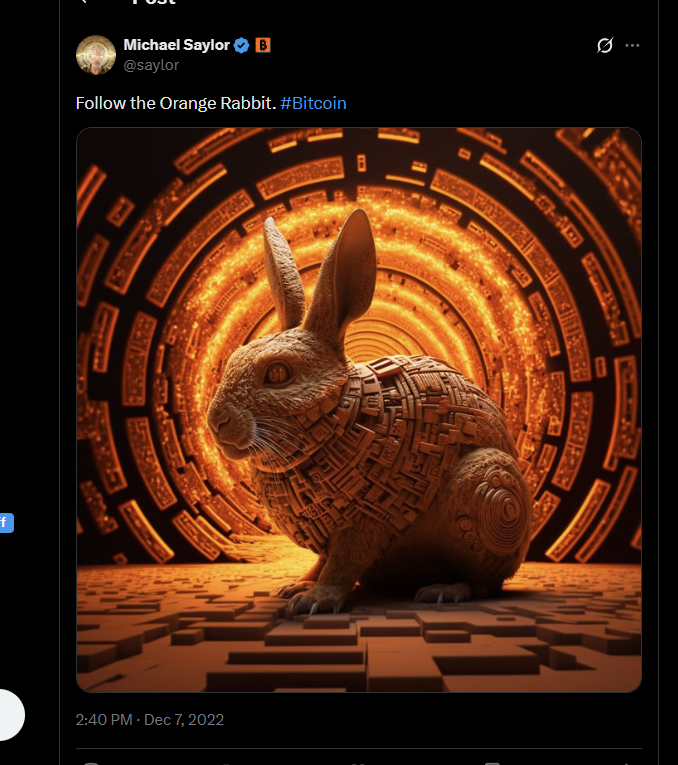 Satoshi Rabbit Back in 2022 Michael Saylor Posted a tweet saying follow the orange ...