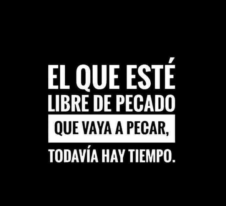 Rabbit HD tweet media