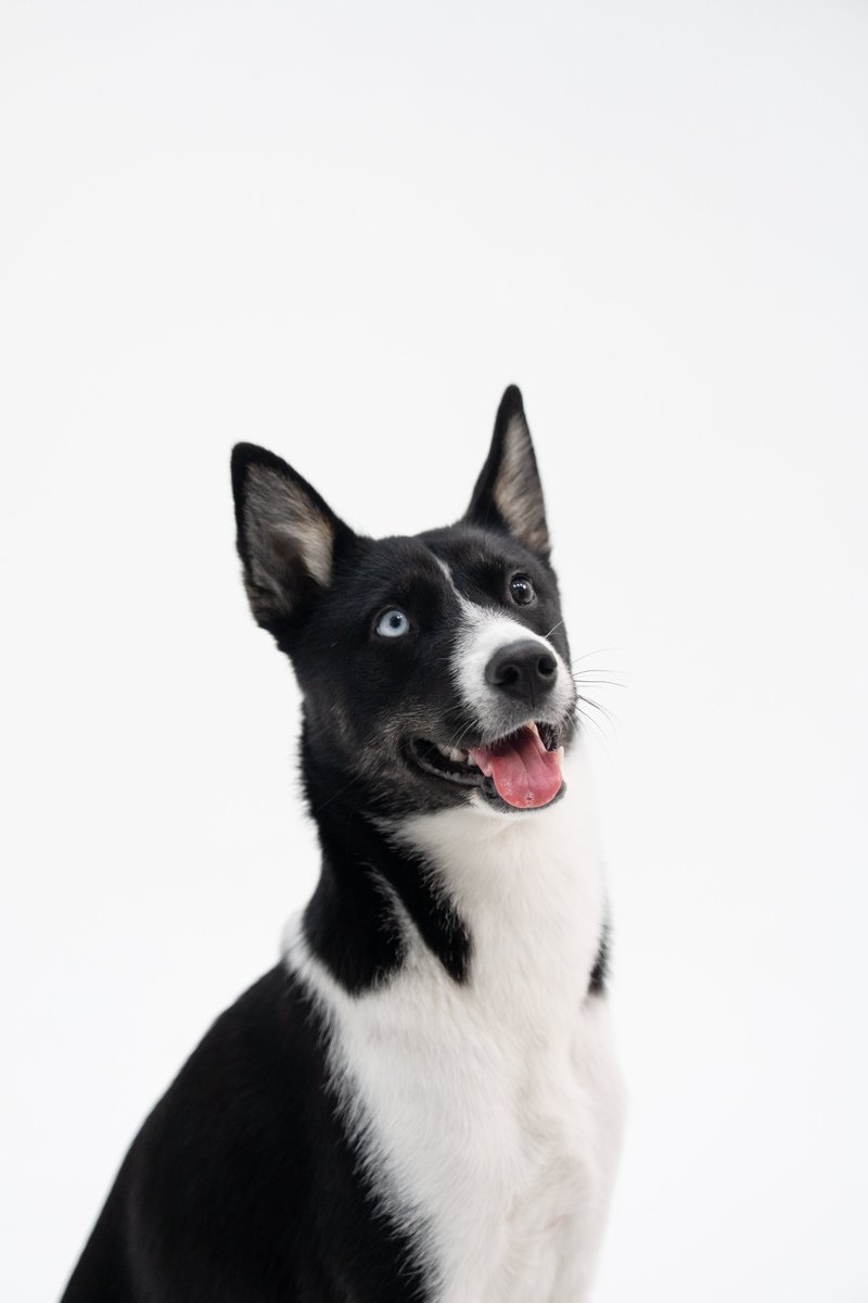 띠로💙🖤 tweet media