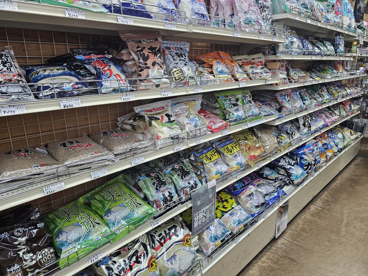 モッチー　BRO FANGST tweet media