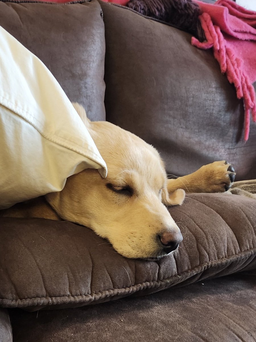 Terry Hlywka tweet media