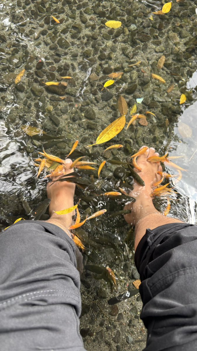 Fandy Bayu Aditya tweet media