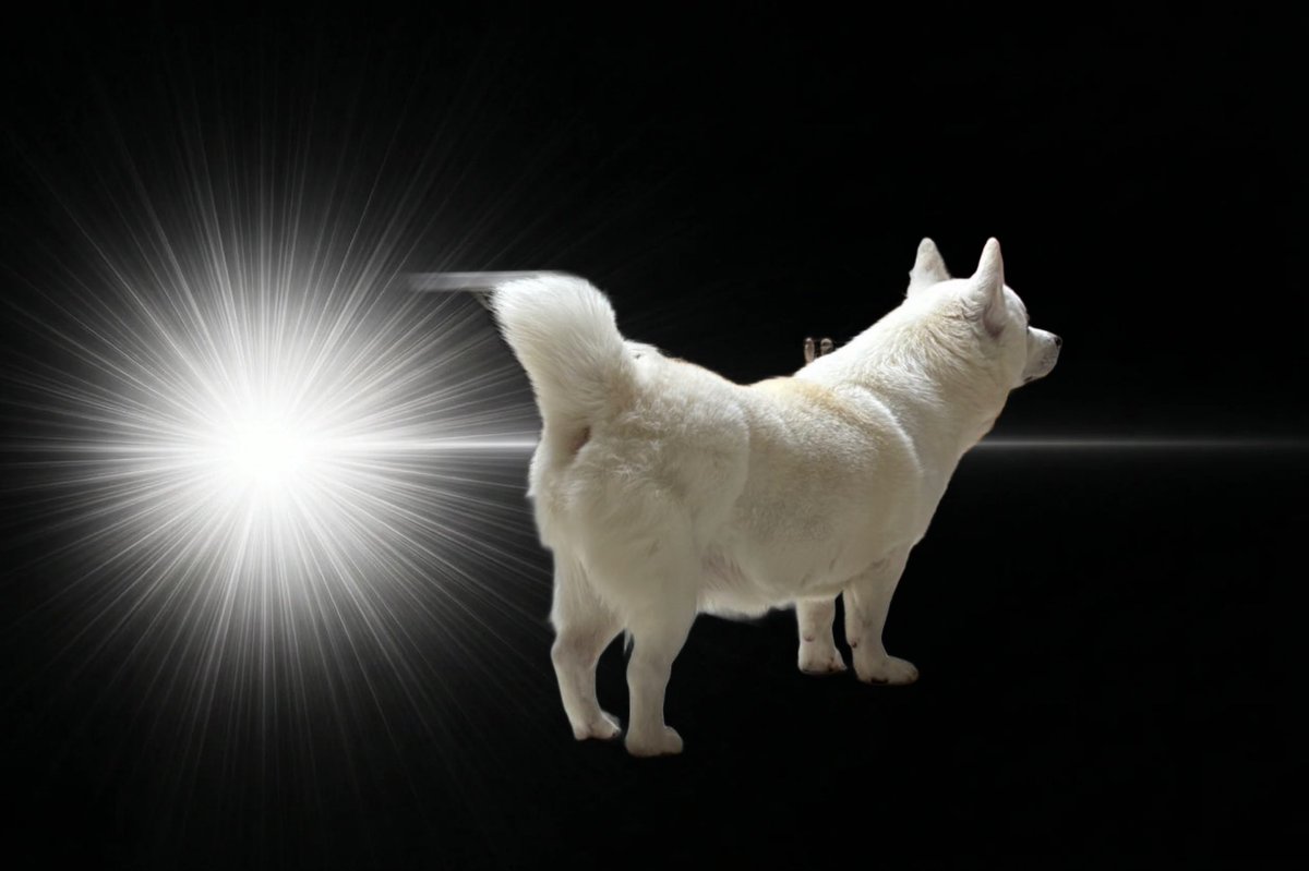 🐻‍❄️내이름은 윤석이🐻‍❄️ tweet media