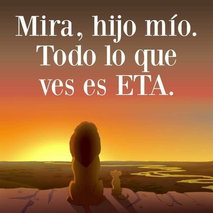 mikel 🔻 tweet media