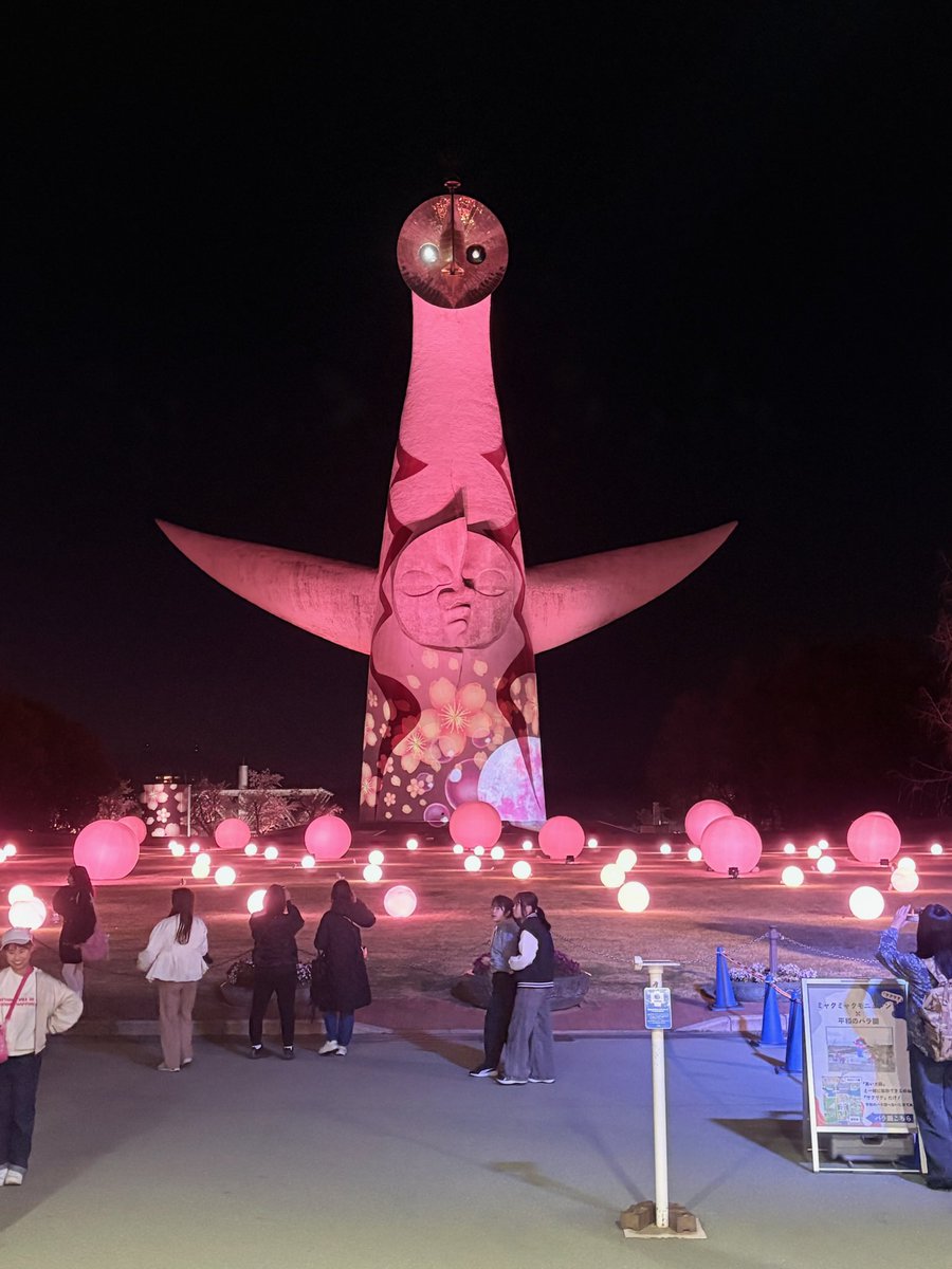 calm_ryuji's tweet photo. 本日最終日。

万博記念公園の夜桜へ。
SAKURA EXPO、東大路の桜並木ライトアップをゆっくり見てきました。

昼とは違う雰囲気で、静かに楽しめてよかったです。 https://t.co/fftdhJbCbV