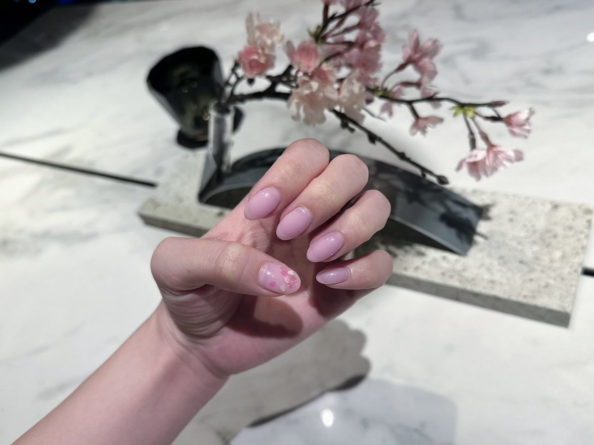 ぽんちゃん🩵 tweet media