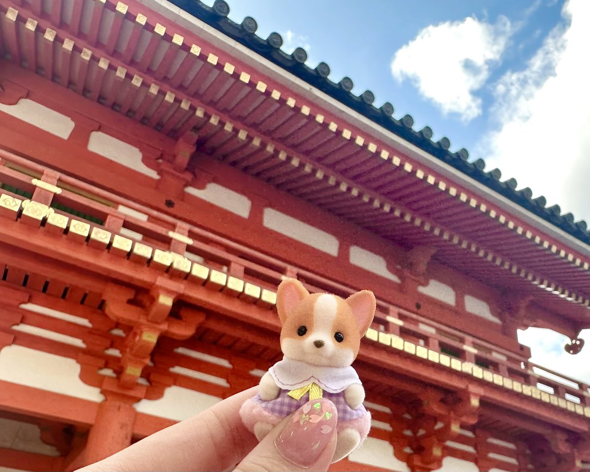 ぽんちゃん🩵 tweet media