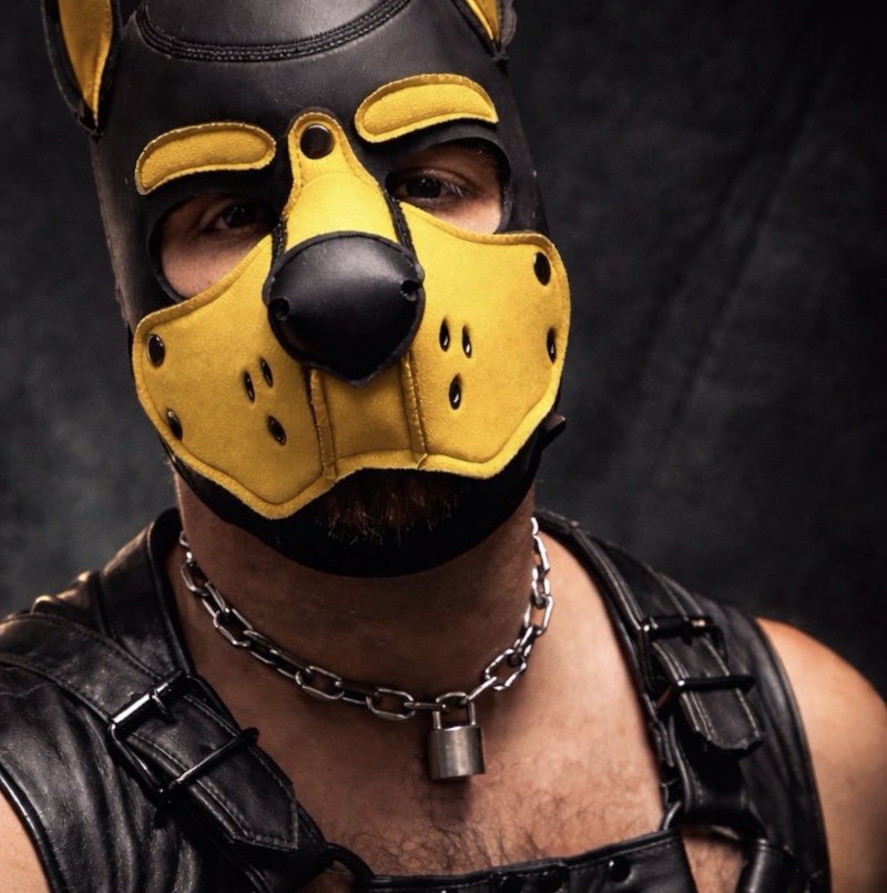 PUP ASHER 🐾🐾🐾🐾🐶 tweet media