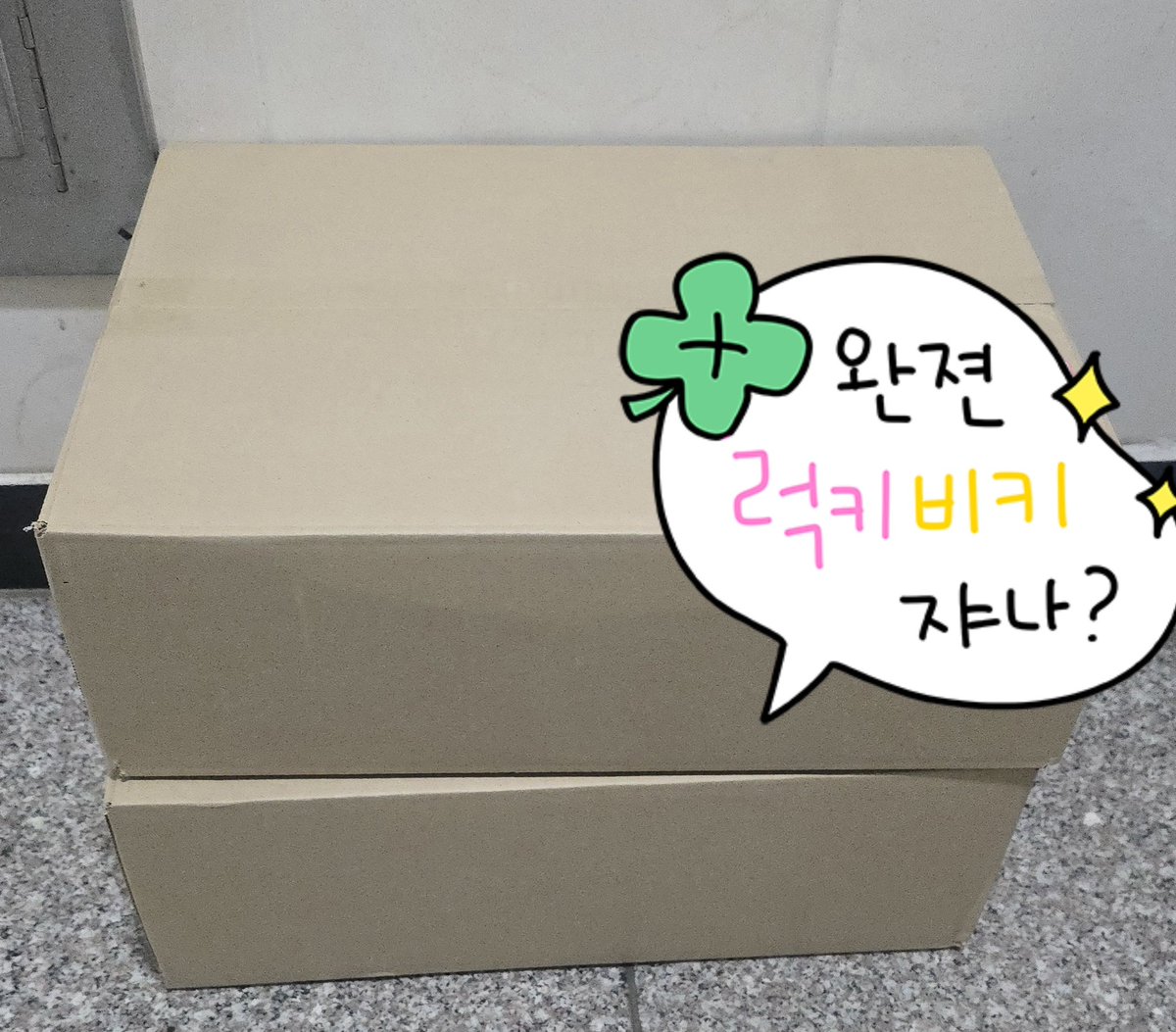 토쇼콴(허니) tweet media