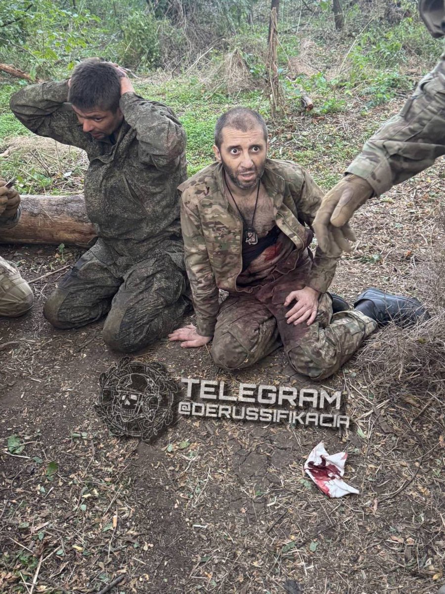 Канадський Козак tweet media