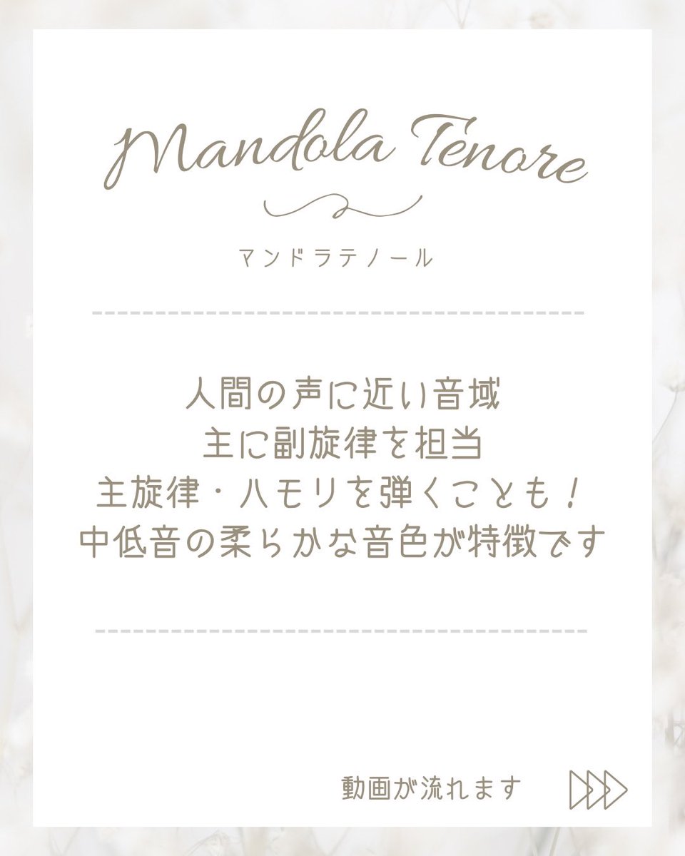 ryu_manoke's tweet photo. 楽器紹介🌸
本日は【マンドラテノール】についてご紹介します🎵
ドラパートは現在5名で活動中です！

楽器体験は平日（火曜を除く）17:00-19:00に開催しております！
ぜひお越しください🙌

#龍谷大学 #龍谷 #龍大 #春から龍谷大学 https://t.co/iyYxZG9I83