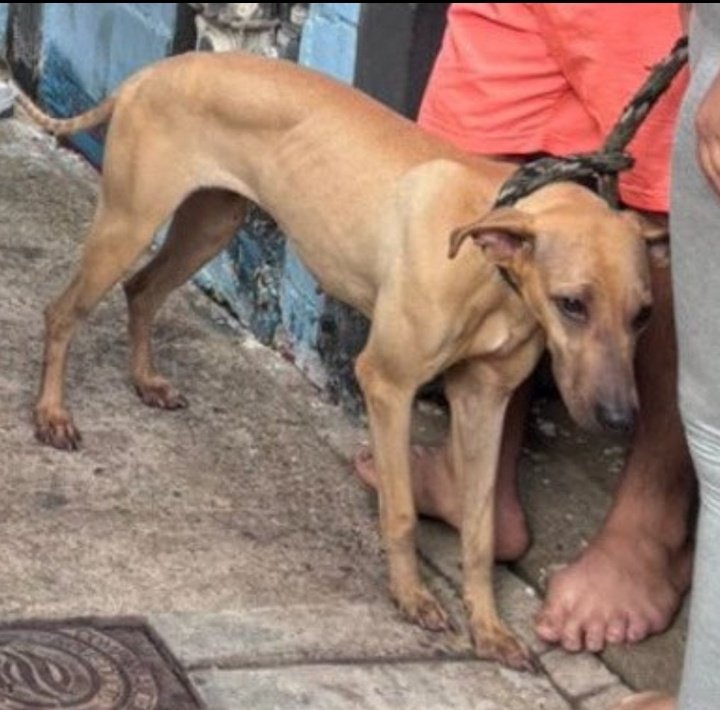 <a href="/InesBetancur1/">𝐈𝐧𝐞𝐬𝐃𝐞𝐥𝐀𝐥𝐦𝐚𝐌𝐢𝐚</a> <a href="/PoliciaColombia/">Policía de Colombia</a> <a href="/AlcaldiaBGA/">Alcaldía de Bucaramanga</a> <a href="/FiscaliaCol/">Fiscalía Colombia</a> MUCHO GRANHIFUEPUTA. TODAVÍA NO ATERRIZA UNO COMO ÉSTE MALPARIDO LE QUITA LA VIDA AL PELUDITO 🐶🐾🐾.
UN GRUPO DE PERSONAS QUE SE UNAN Y VAYAN POR ESE HIJODELAGRANPUTA 😡