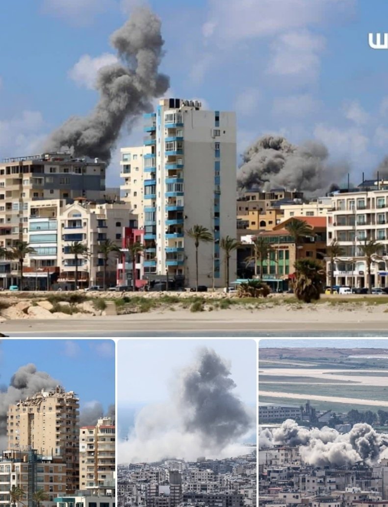 برهان مجد tweet media