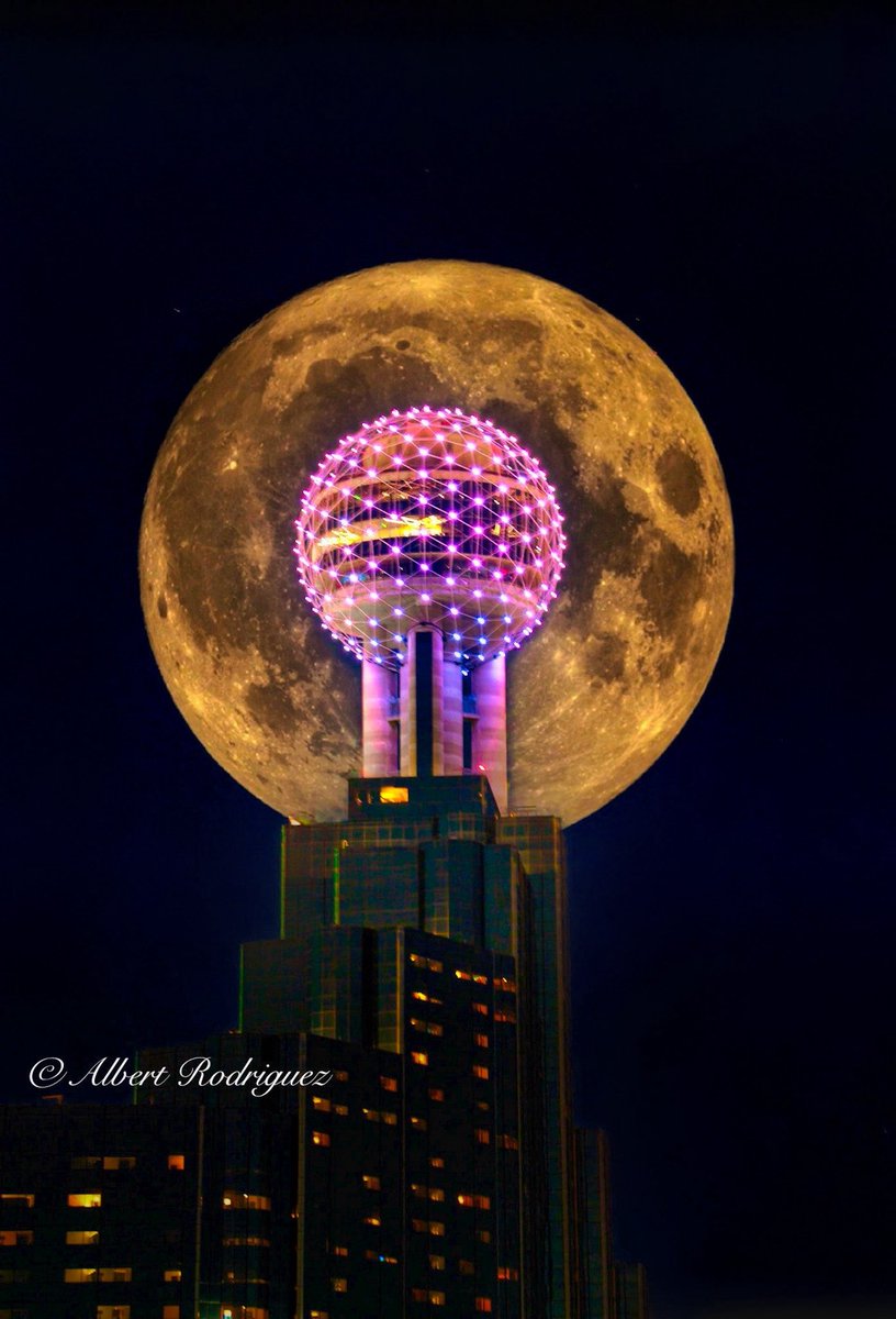 Reunion Tower tweet media