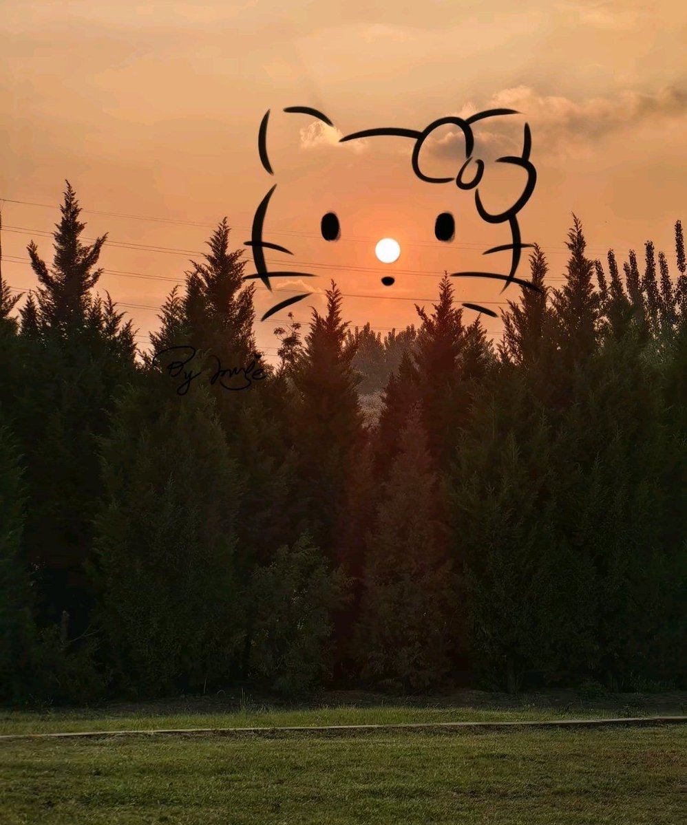 Linda McDonald tweet media