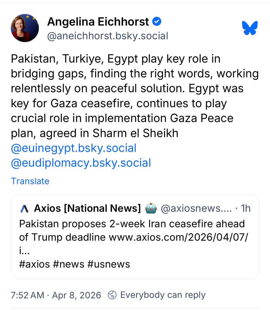 Sherin Helal tweet media