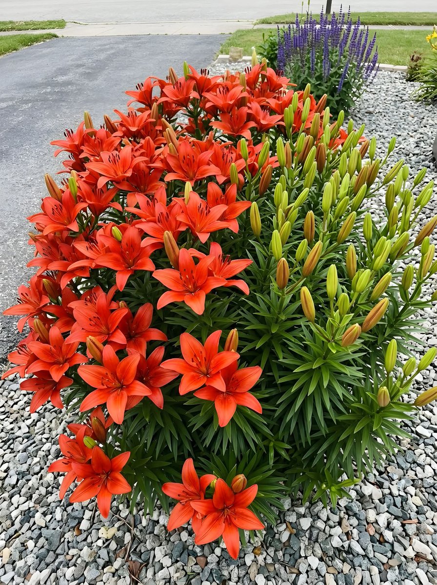 Flowers world tweet media