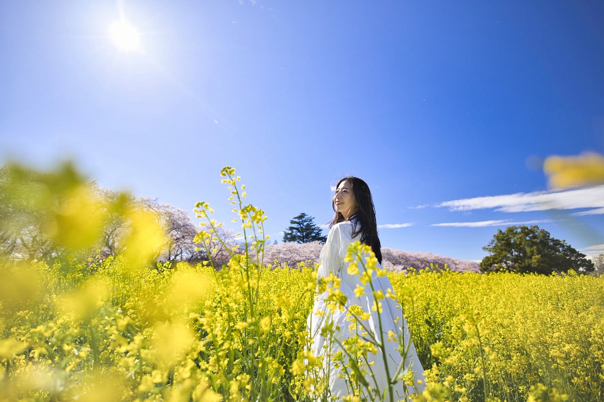 YU_JURRY's tweet image. まだまだ！！！

Camera: EOS R6Mk3 
Lens: RF  16mm f2.8

 #photography #sakura #camera #canon #japan