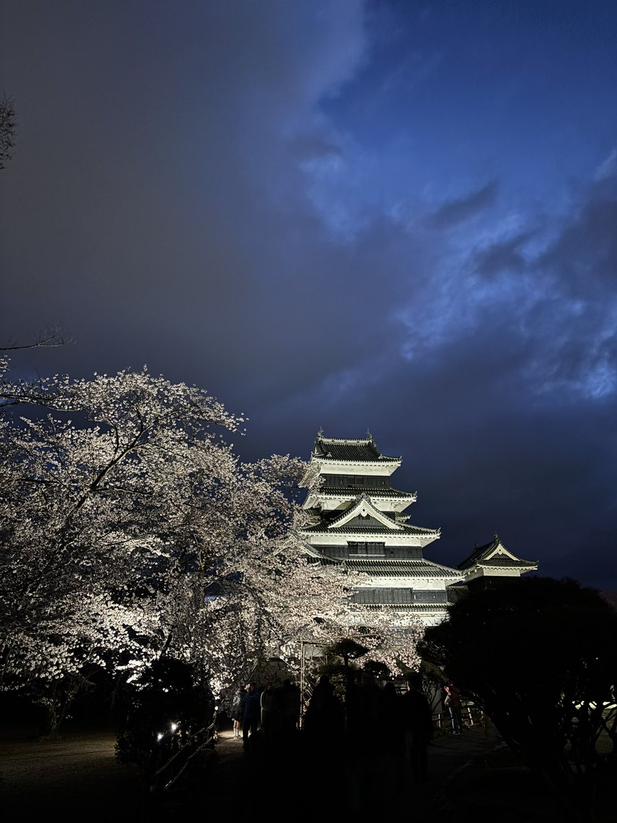 mina20010609's tweet photo. 今年のお花見は松本城🏯🌸 https://t.co/lYGsSZaqJ3