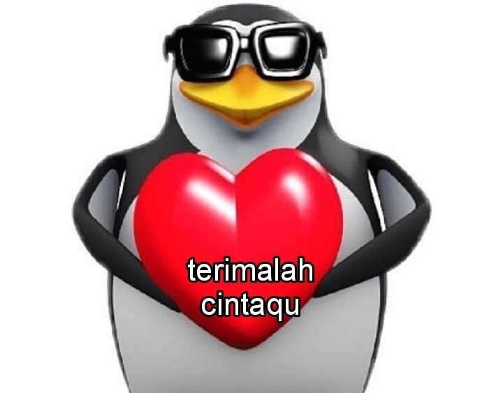 c.warscewiczii 🧸🪄 tweet media