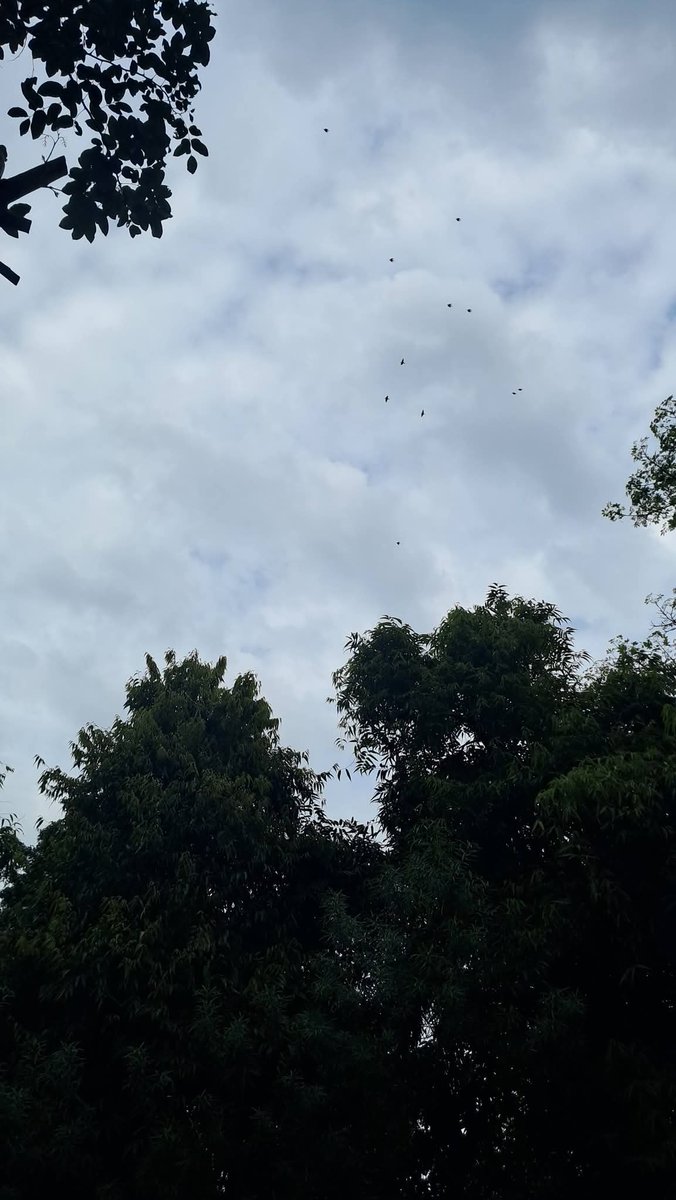 Usha Wildflower 🌱📚 🍀 tweet media