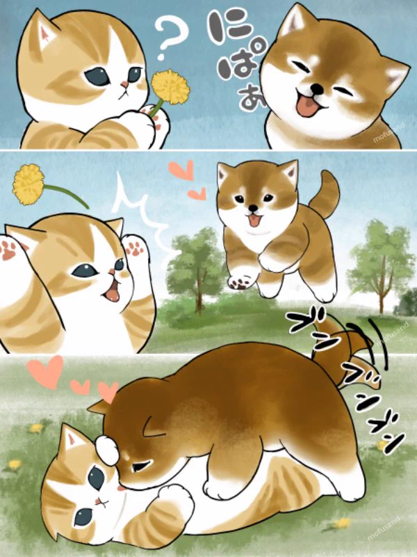 ☆柴犬&ひよこ☆ HFYa0vja8AM7Dvx?format=webp&